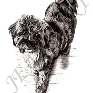 Beau Print